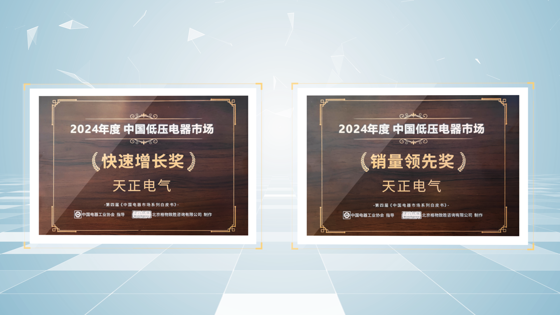 销量领先、快速增长丨南宫28网址荣膺2项行业年度大奖